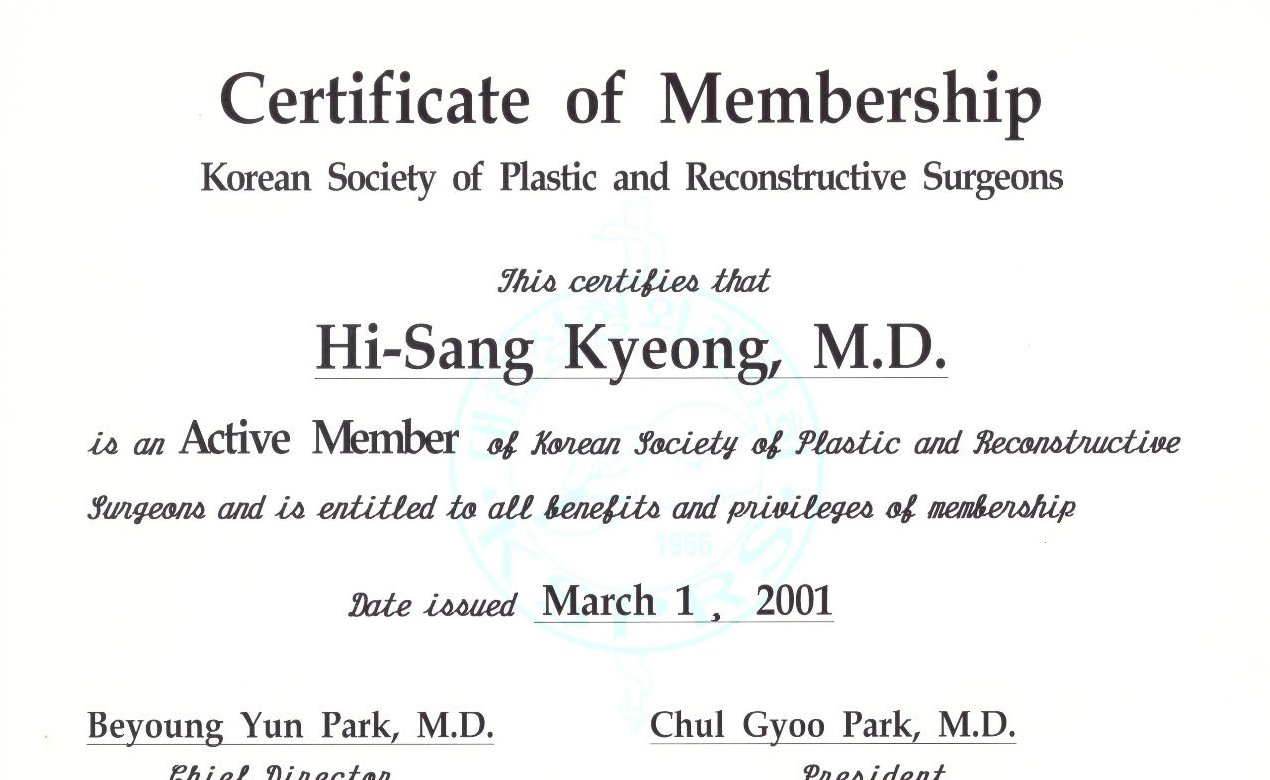 凡是与美资质 - 大韩整形医师协会 正会员
